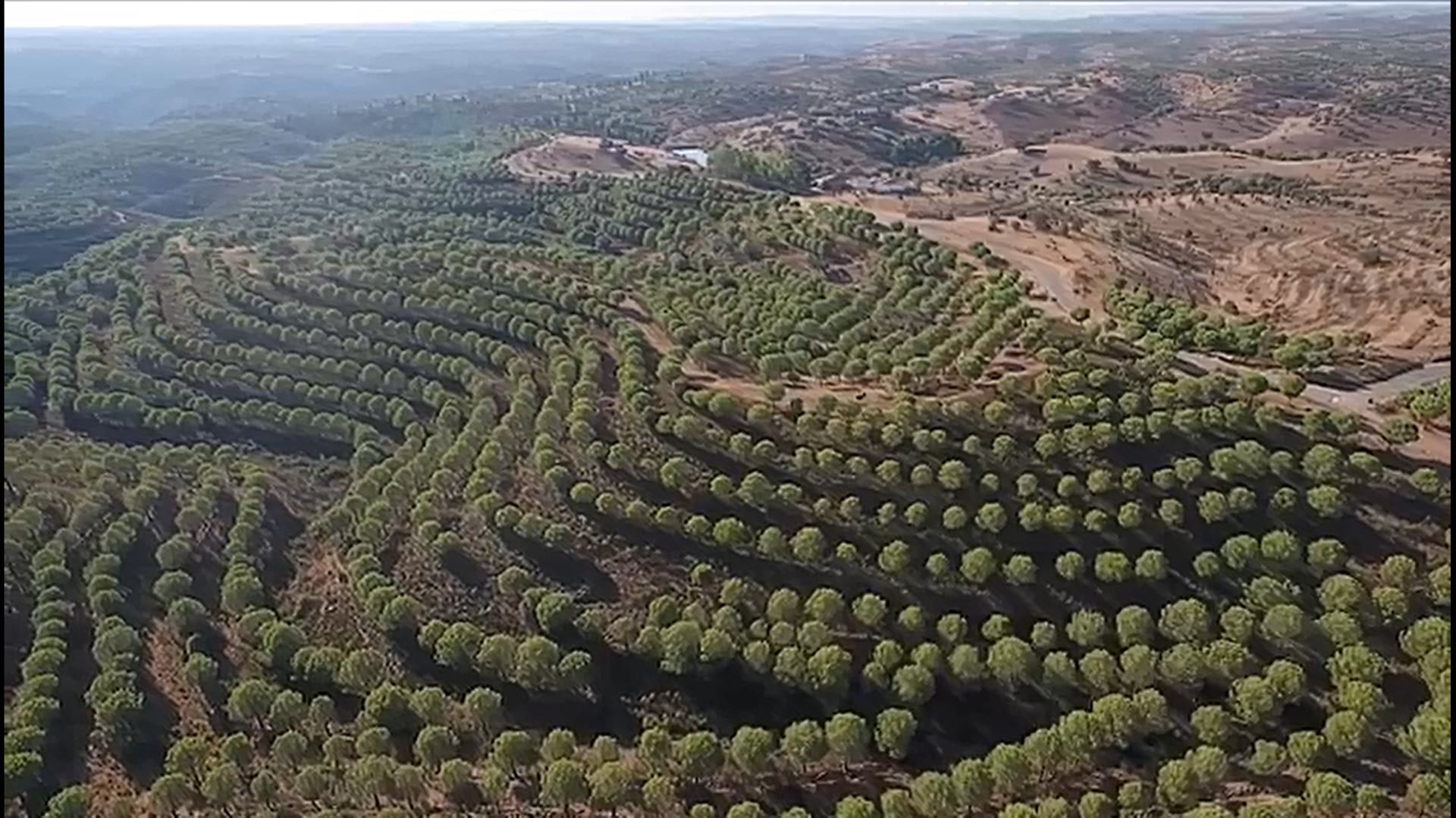 Herdade com área total de 135 hectares a confinar 3km com o Rio Guadiana