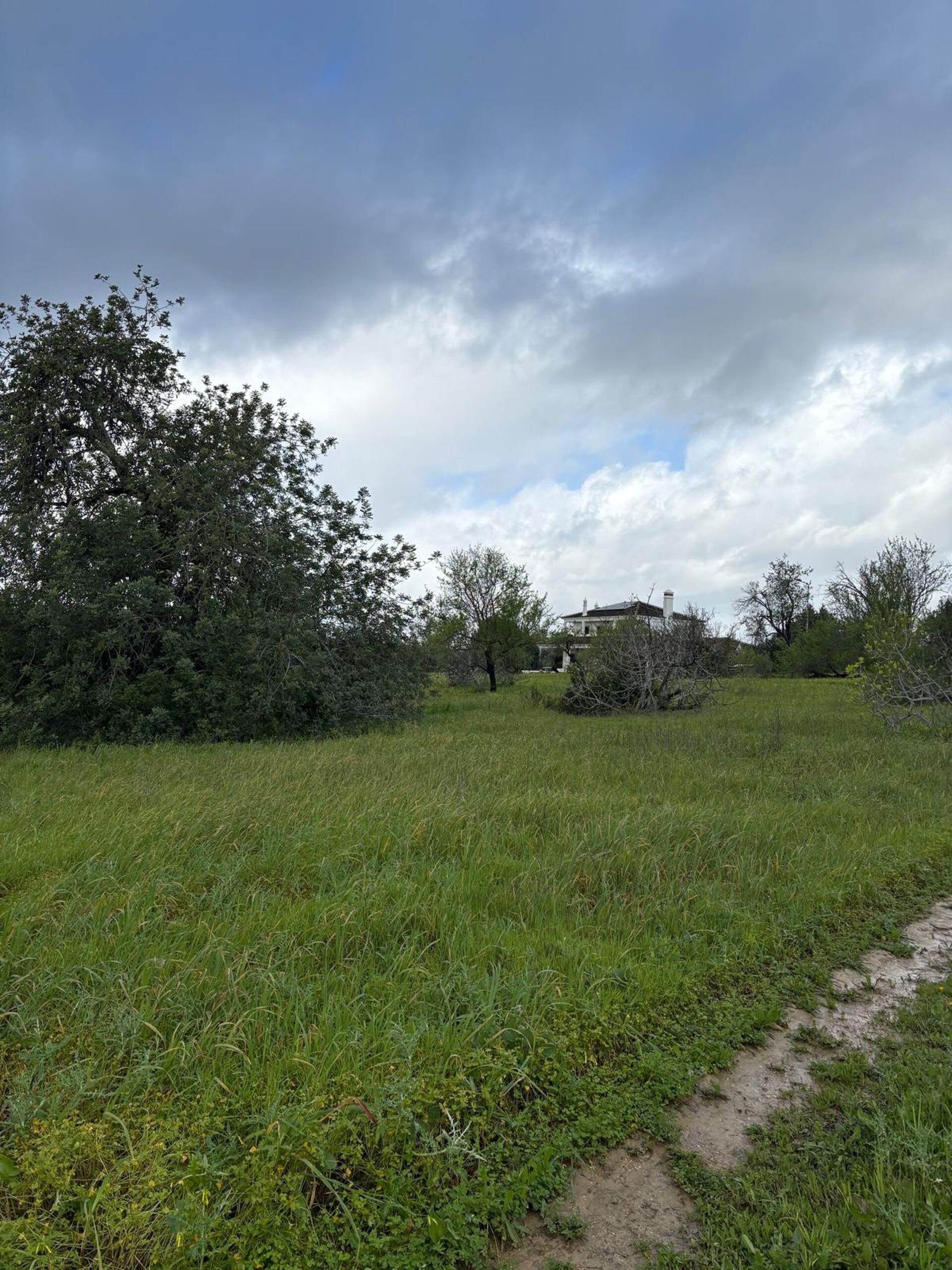 Terreno Rústico de 1,3 Hectares em Santo Estêvão, Tavira – Excelente Oportunidade de Investimento!