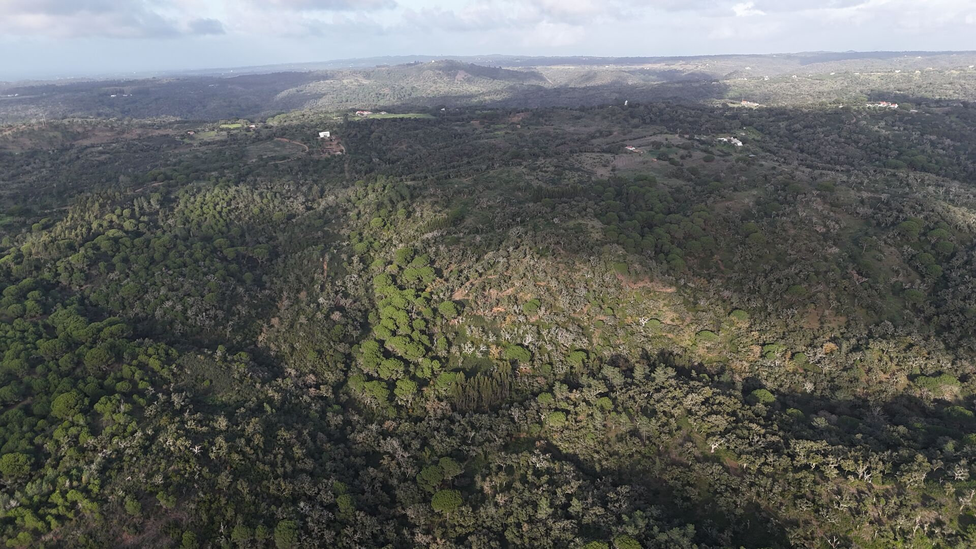 Terreno Urbanizável Único com Vista Mar em Melides: Investimento Raro com PIP Aprovado
