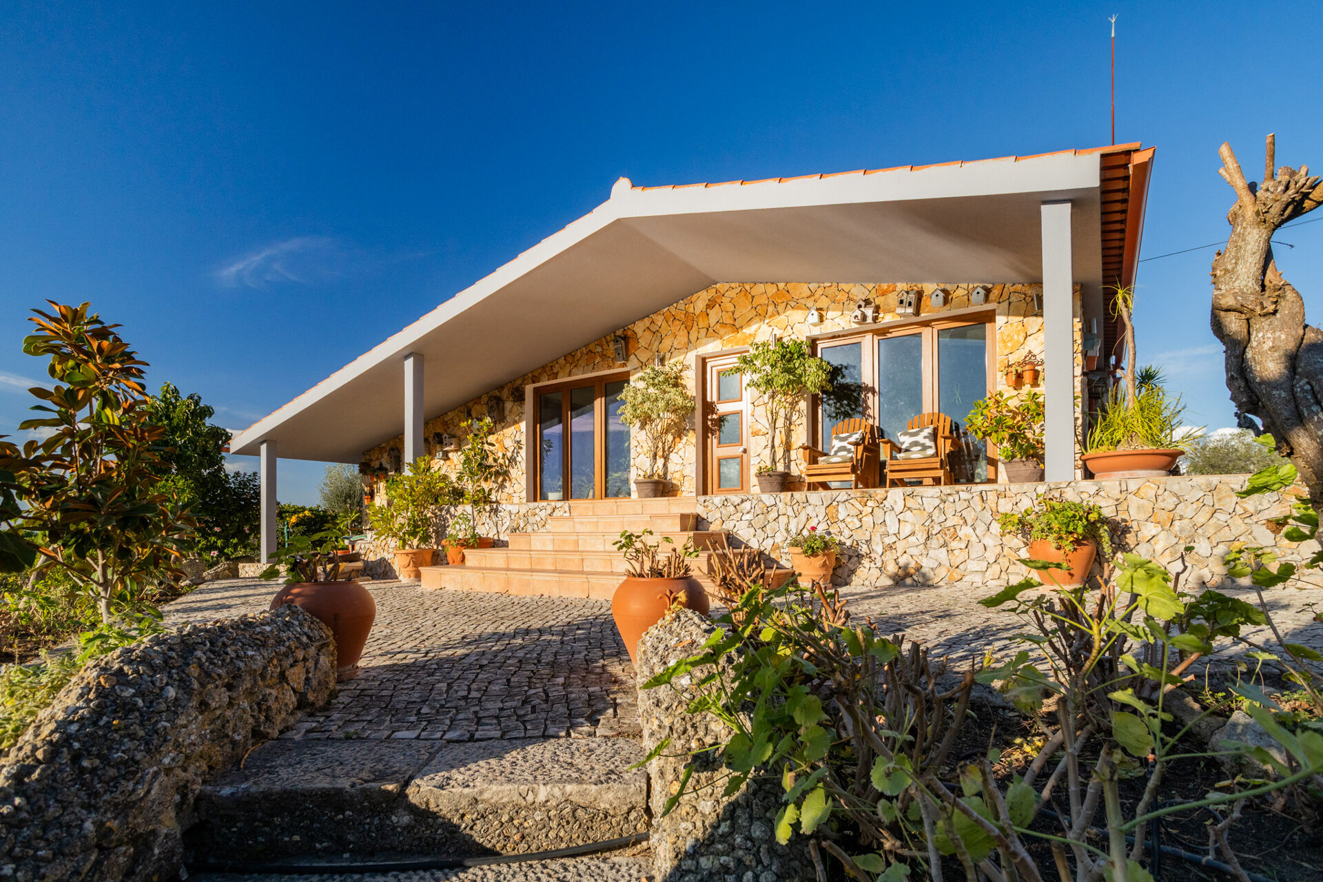 Herdade em Aldeia da Piedade - Em plena Serra da Arrábida
