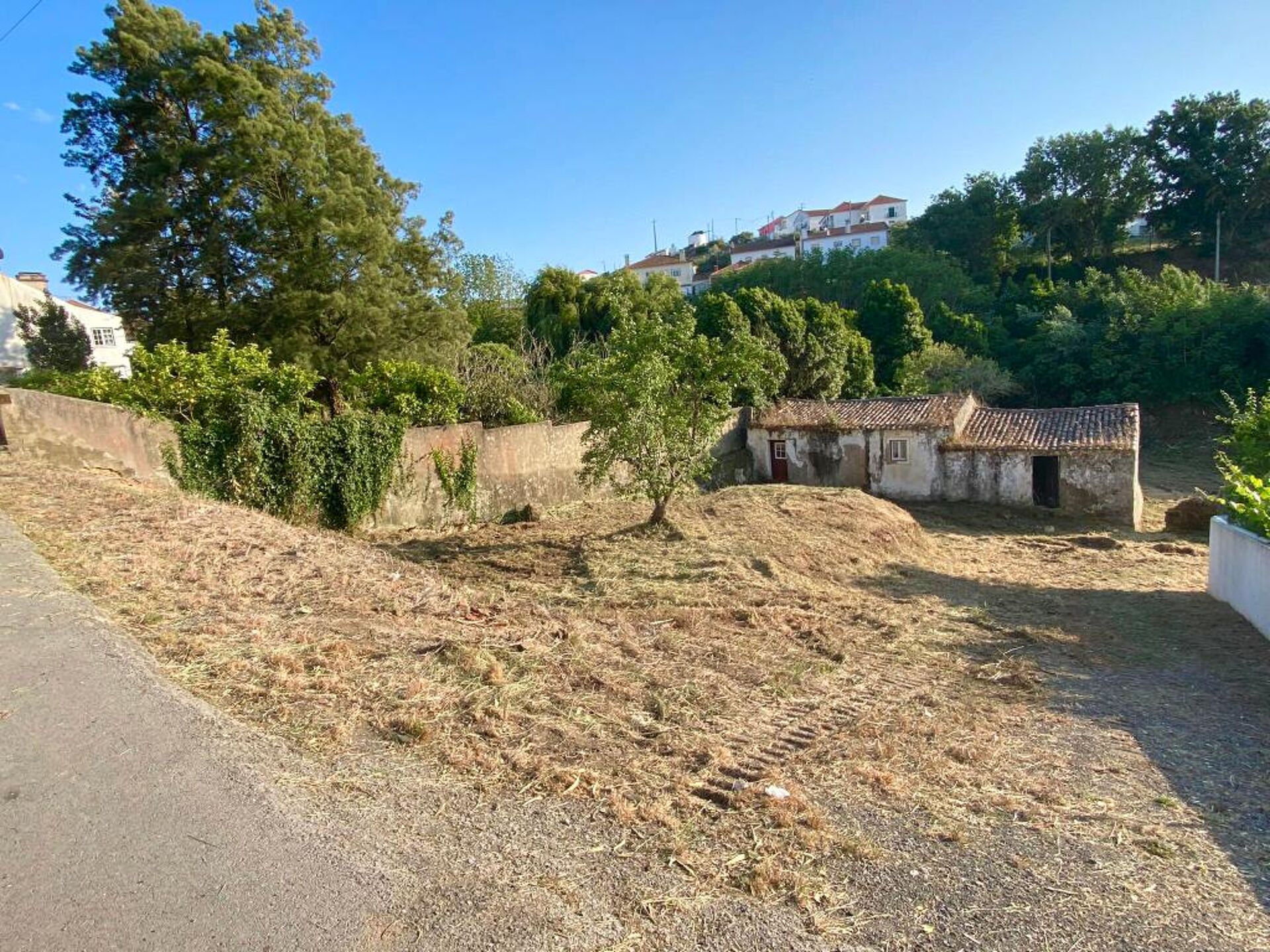 Fabuloso Terreno com Ruina na Vila do Turcifal, Torres Vedras 